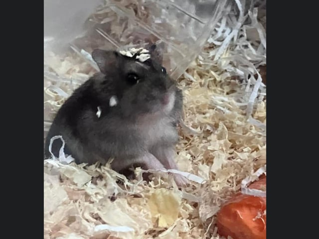 Betsy Rose looking very cute!