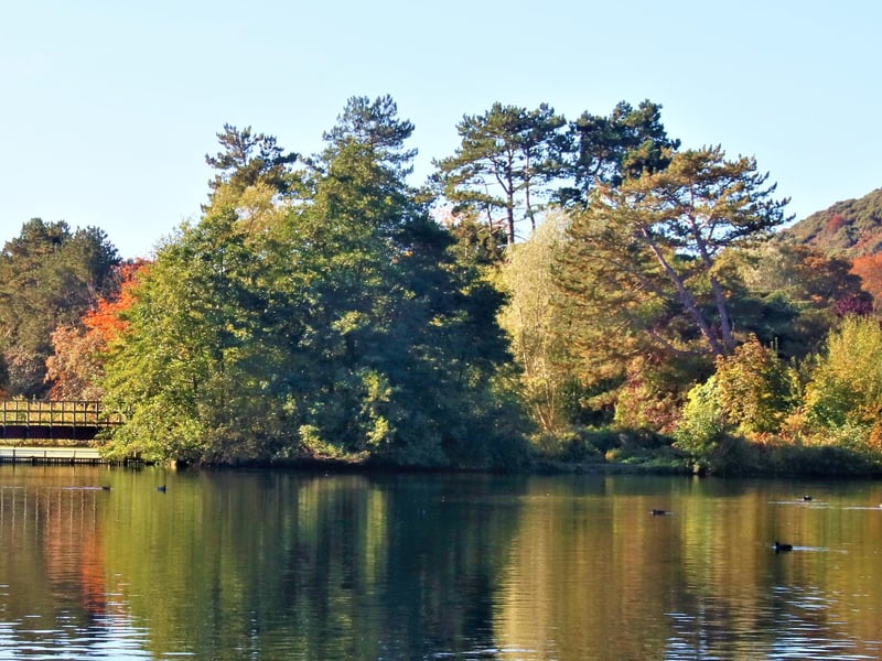 Tranquil day at Scarborough Mere.