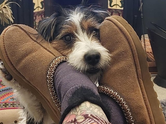 George being adorable!