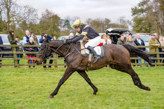 Novice jockey Olivia Rogers, on Ballydonagh Boy, won the Ladies Open race for trainer Cherry Coward. Photo by Tom Milburn Photography