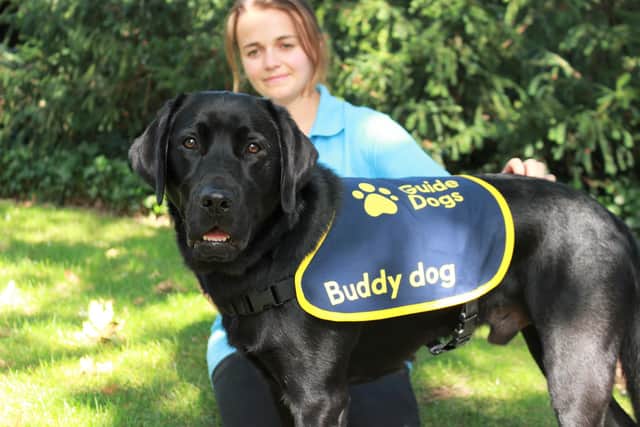 Tails will be wagging today in Scarborough when Guide Dogs hold their tea party to celebrate the their appeal.