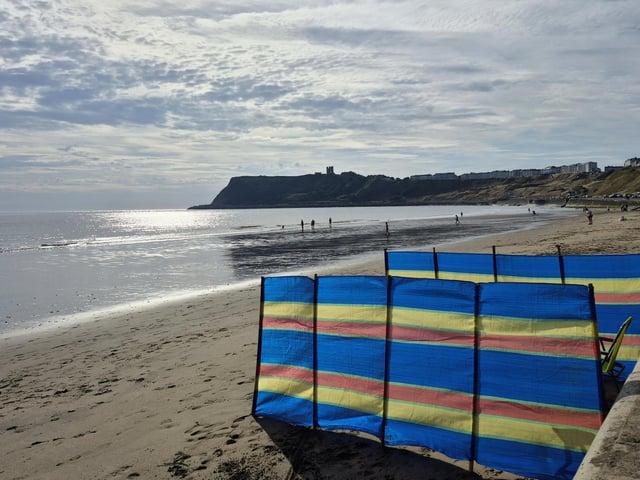 A colourful windbreaker at North Bay beach, by Coralie McGrath.