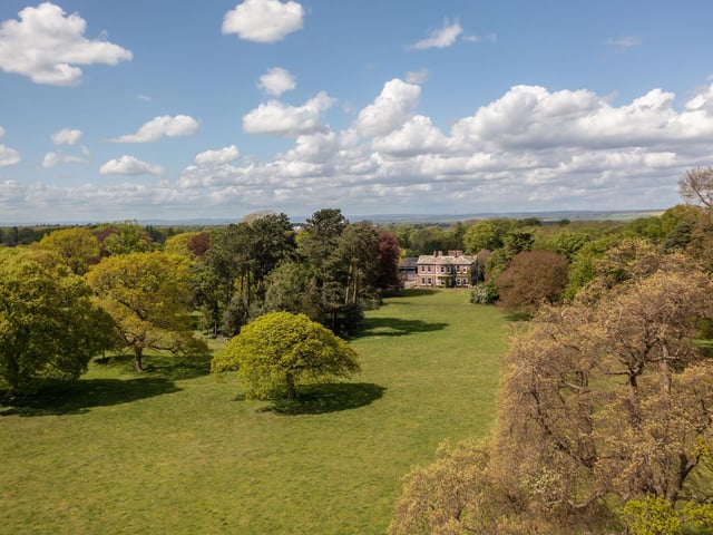 The scale of the grounds with lawns and a variety of trees can be appreciated from this photograph looking up towards the Hall.