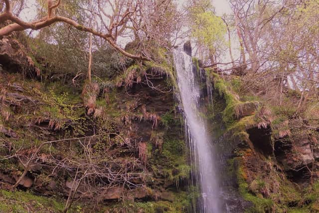 Mallyan Spout, Goathland.