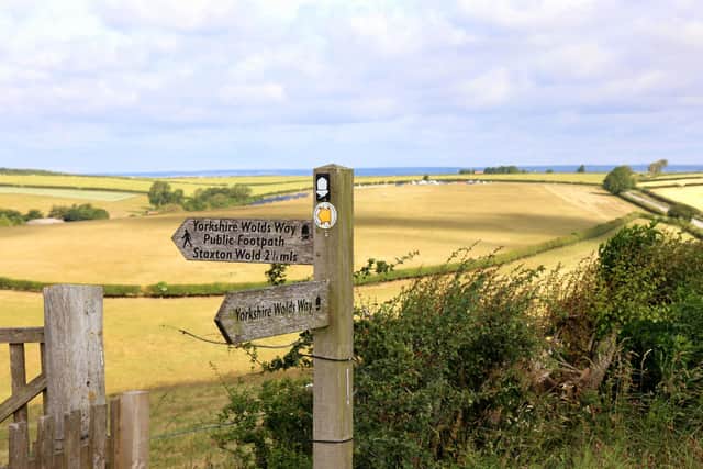 Beverley Senturk sent in this Wolds Way landscape.
