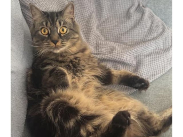 Albus looking a little shocked!