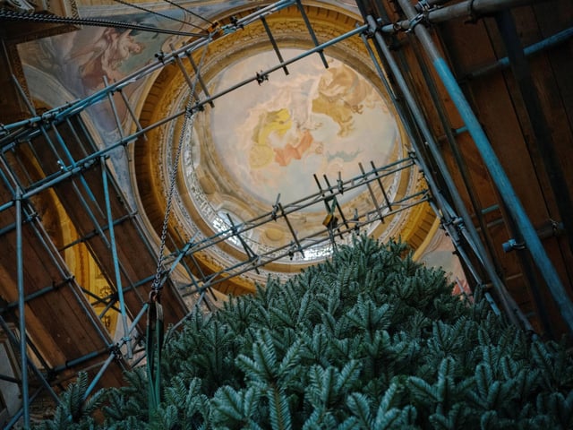 The stunning ceiling above where the tree is. photo: Tom Arber