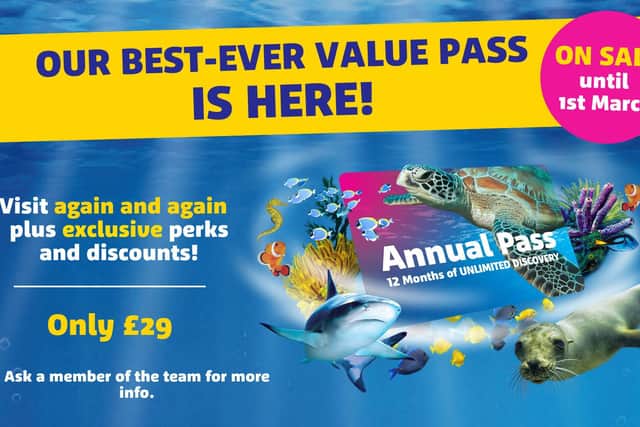 Sea Life Scarborough Annual Pass