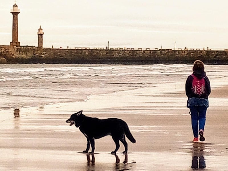 Dog walk along Whitby beach.
picture: Michael Tomlinson