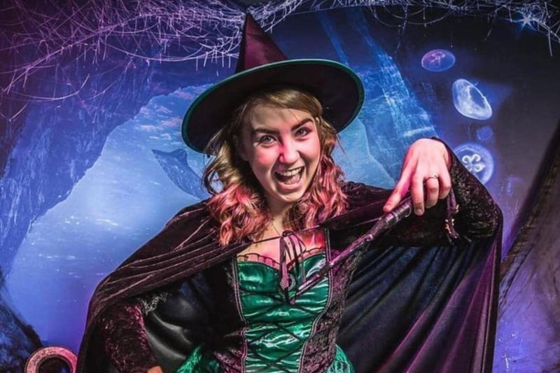 Ascarium: Tricks & Treats takes place at the SEA LIFE, Scarborough from October 14 until November 5. Visitors can dive into the creepy deep this half term and complete magical challenges throughout the aquarium.