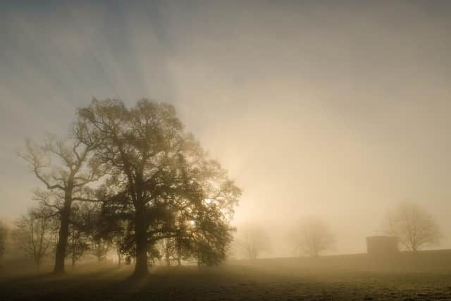Yorkshire Tree Arboretum to offer discounted entry prices for National Tree Week.
