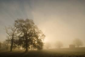 Yorkshire Tree Arboretum to offer discounted entry prices for National Tree Week.