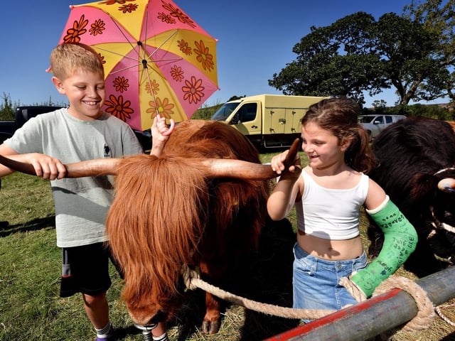 Joseph and Charlotte Johnson with a Highland Bull