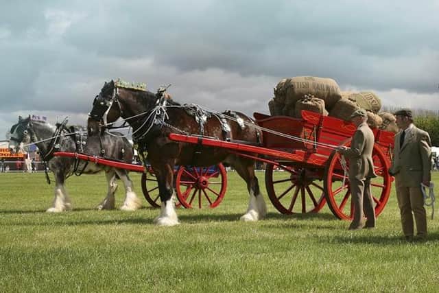 Horse events are popular at the fair