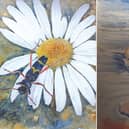 Bridlington Old Town Gallery is hosting an exhibition of East Yorkshire artist Carol Eacott's work for the entire month of February.