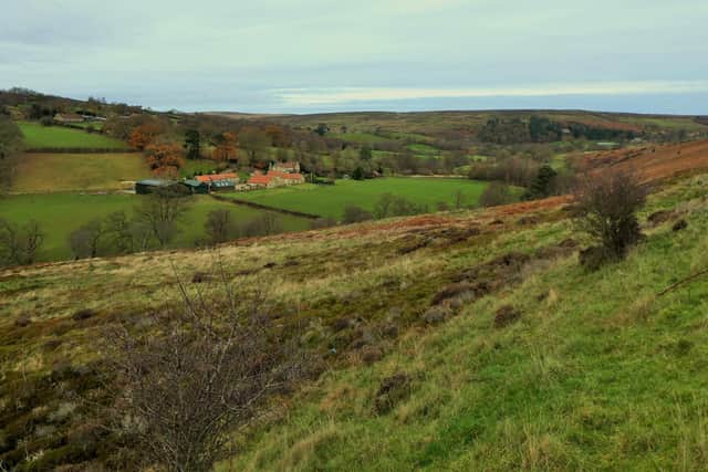 Looking back towards Castleton.