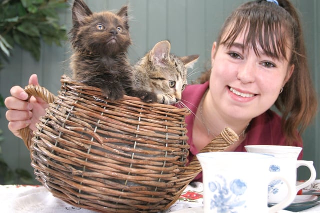 Gemma Wharton enjoys the kittens tea party with Dusky Maid and Biscuit.