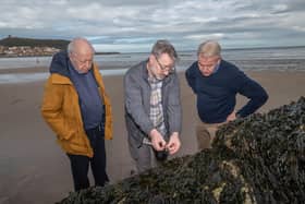 Left to right, North Yorkshire Council’s leader, Cllr Carl Les, Professor Darren Gröcke from Durham University and the council’s chief executive, Richard Flinton, at Scarborough’s South Bay.