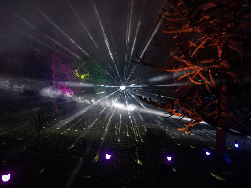 The Christmas lights show dazzled visitors.