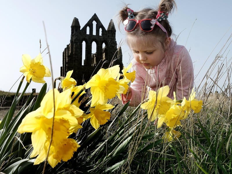 Whitby Abbey is also hosting an Easter quest from March 28 until April 19. The quest runs every day throughout the school holidays and is just £2 per child for both members and non-members. This is in addition to your admission ticket. There's no need to book in advance – simply pay and join the quest when you arrive.