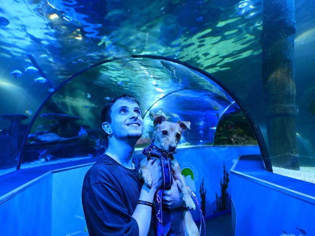 Captivated by the stunning aquarium.