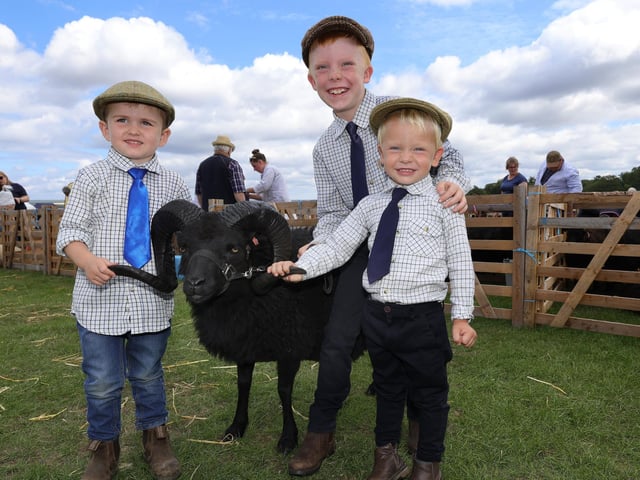 William Goodall, Leo Ronan and Eli Watson with their prize winning sheep