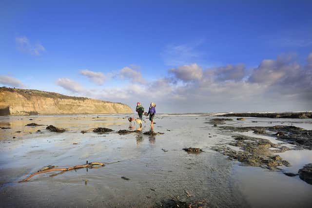 The week will start sunny, however strong winds and sporadic showers are predicted as the week progresses, according to the Met Office. Photo: Richard Ponter