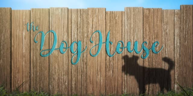 Channel 4’s BAFTA-nominated show, The Dog House is returning with a brand-new series in the new year