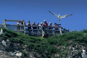 Bird watchers at Bempton Cliffs