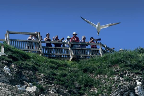 Bird watchers at Bempton Cliffs