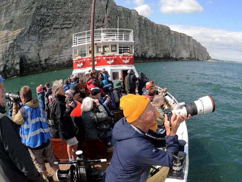 The RSPB runs a series of three-hour cruises to Bempton Cliffs.