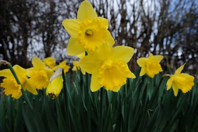 The Easter Fair will take place on Saturday March 23