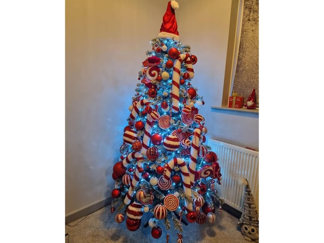 This stunning tree in Scarborough has been covered in festive candy cane stripes.