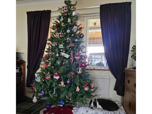 Here is Whitby resident Jennifer Stephenson's unlit tree, alongside a comfy looking Milo the dog.