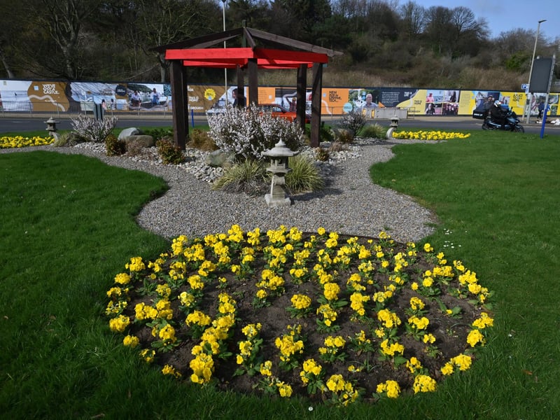 Peasholm Roundabout looking gorgeous.