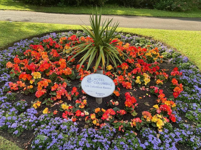 A colourful floral display in Scarborough, by Dawn Humphrey.