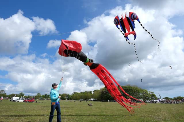 Joe Gould with his kites at the festival. All photos by Richard Ponter