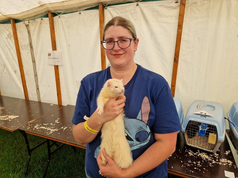 Heather Johnstone, Malton, with male ferret Wyvern, who took second place in the Silver Hob Class