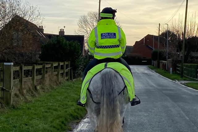 Can you help Humberside Police put the neigh in its neighbourhoods?