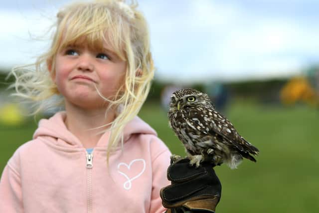 Olivia Stainthorpe at the 2022 Hinderwell Horse and Agricultual Show. Picture: Jonathan Gawthorpe