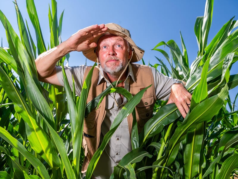 Owner of York Maze farmer Tom Pearcy amongst this years theme maze design of Sir David Attenborough and a few of his animal friends.