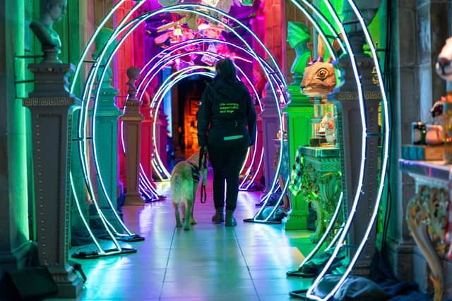 Guide Dogs Puppy Development Advisor Lucy Cooper walks with guide dog puppy Dasher through the 'rabbit hole' at Castle Howard
