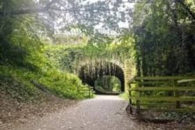 Whitby Cinder Track.