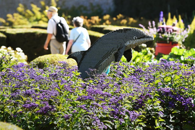 Instead of leaping out of the water, this dolphin sculpture is pictured jumping out of the beautiful flowers found in the gardens.