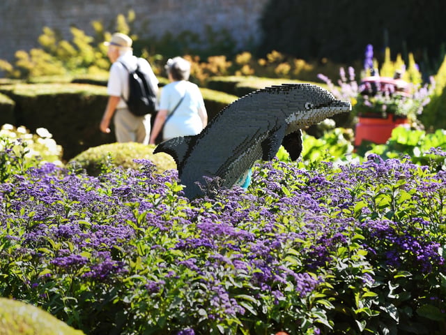 Instead of leaping out of the water, this dolphin sculpture is pictured jumping out of the beautiful flowers found in the gardens.