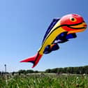 The Bridlington Kite Festival. John Elvin flies his kite