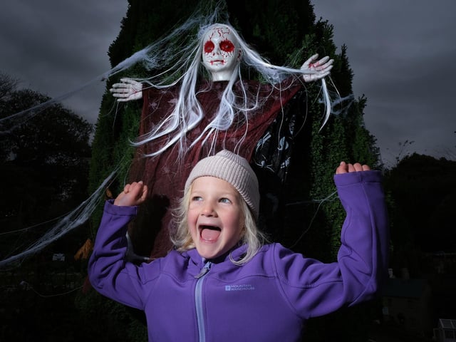 They don't scare me! picture: Richard Ponter