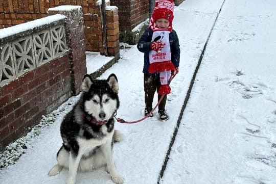 Looking for a sled