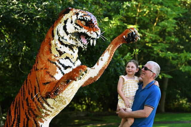 Shauan Dale and his granddaughter Daisy Hugill are getting up-close to the ferocious tiger sculpture.