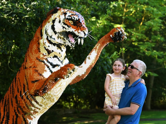 Shauan Dale and his granddaughter Daisy Hugill are getting up-close to the ferocious tiger sculpture.